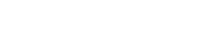 Legal ESI